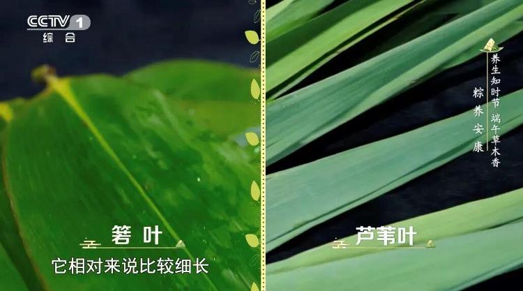 前波音老将公布巨型地效飞行器概念图：飞船长793米 一次可载5万名乘客